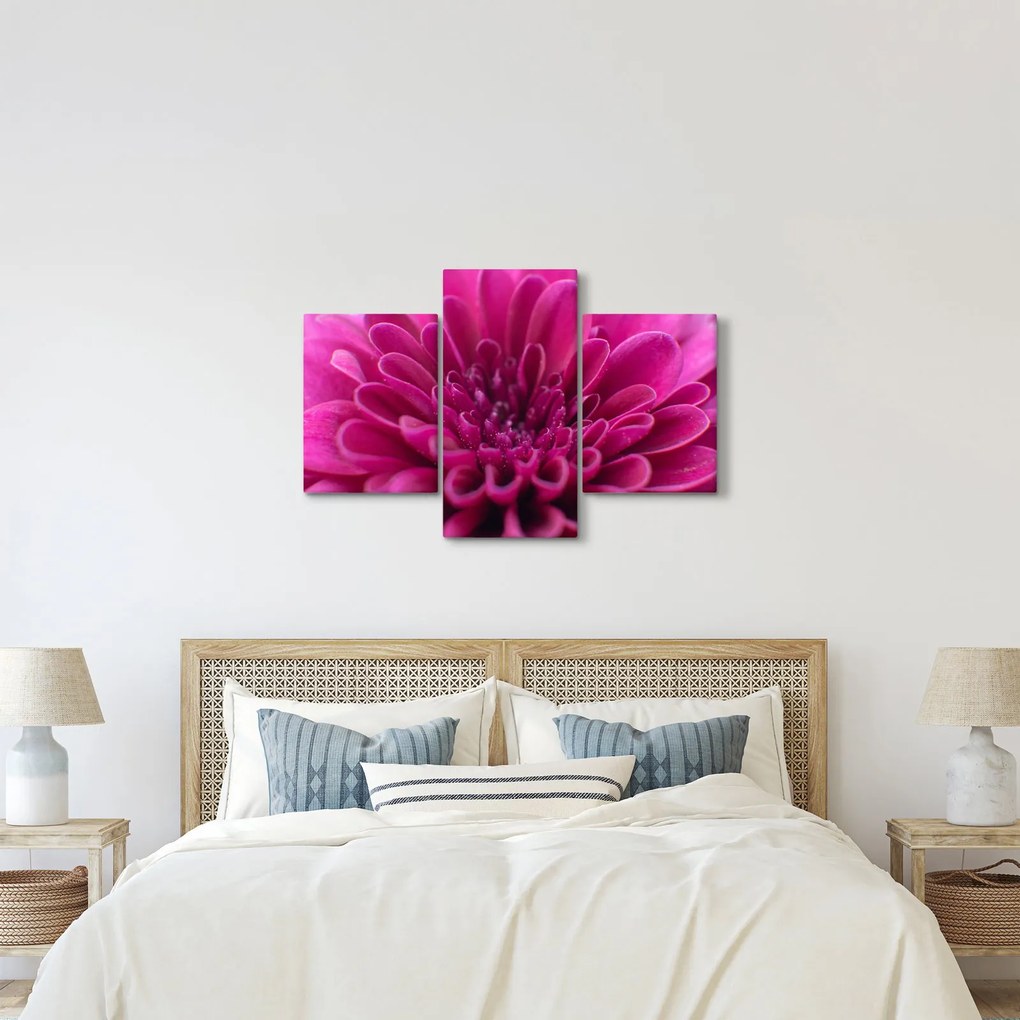 Tablou cu floare (90x60 cm)