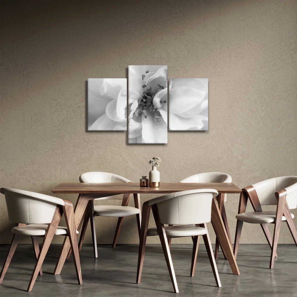 Tablou - Floare,alb-negru (90x60 cm)