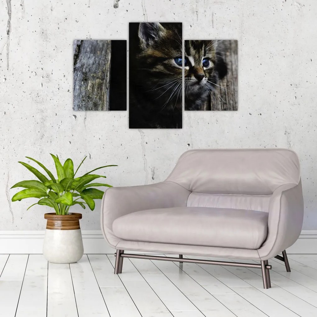 Tablou cu pisicuța (90x60 cm)