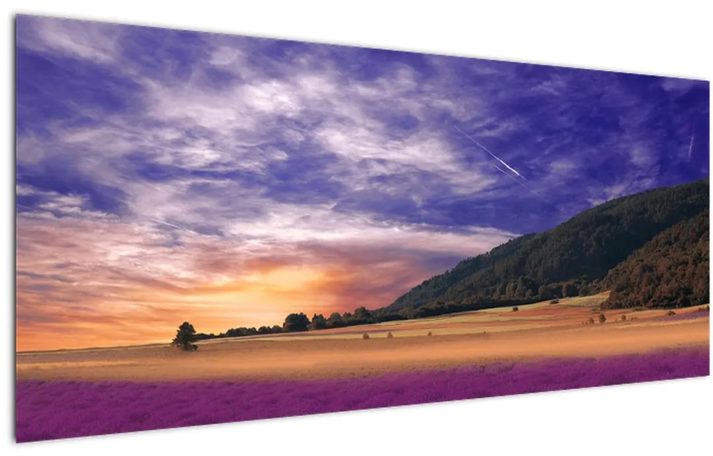 Tablou cu lunca cu lavandă (120x50 cm)