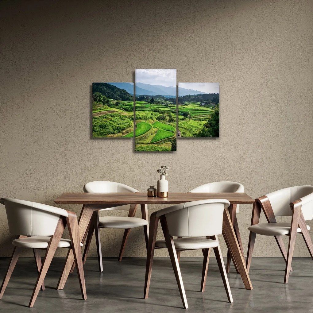Tablou cu câmp de orez (90x60 cm)