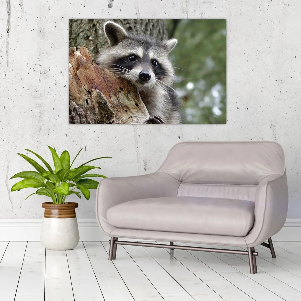 Tablou - Raton (90x60 cm)