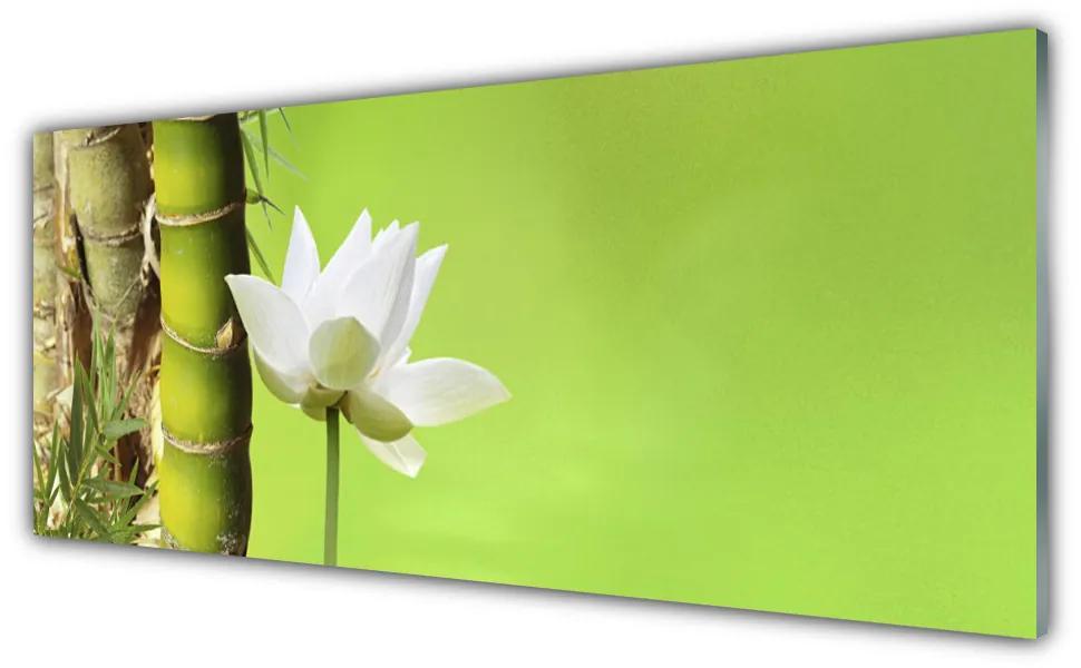 Tablouri acrilice Bamboo peduncul Floral Verde Alb