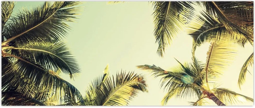 Tablou - Palmieri de cocos (120x50 cm)