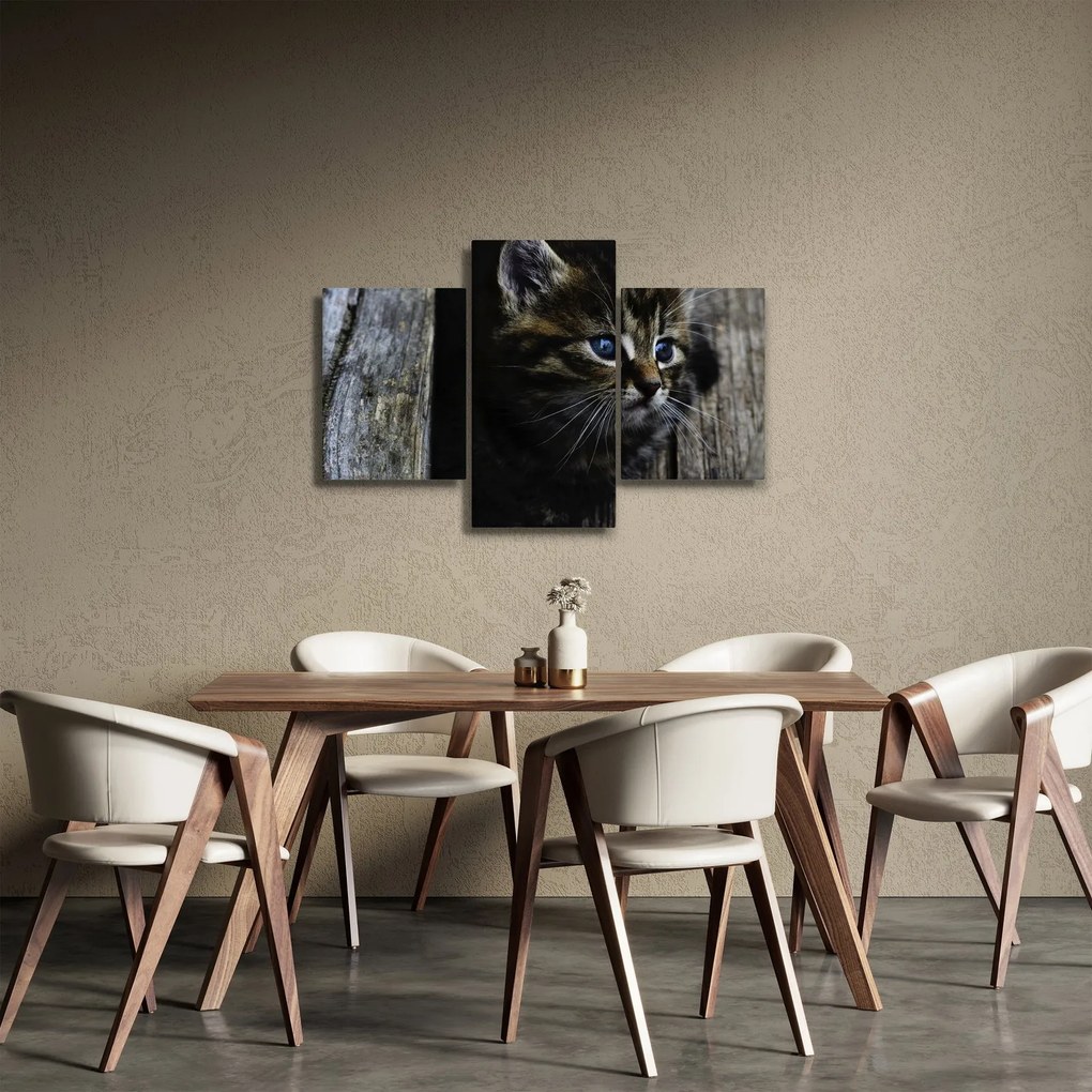 Tablou cu pisicuța (90x60 cm)