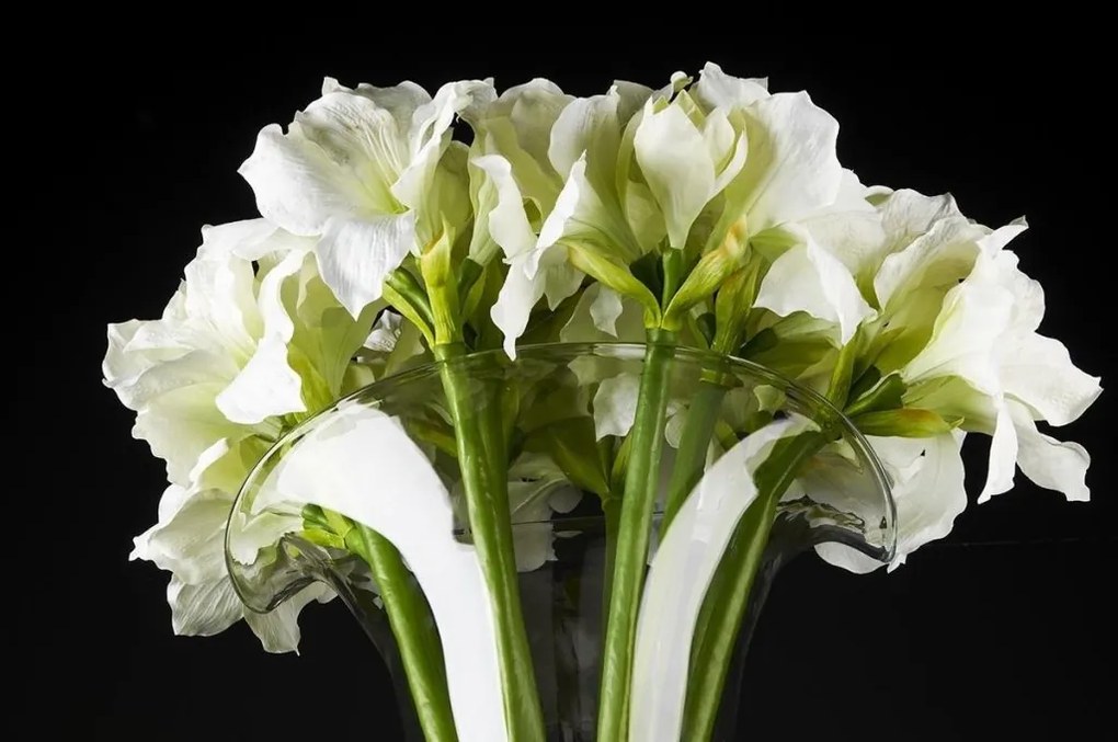 Aranjament floral elegant din crini de camera albi, VULCANO IVORY AMARYLLIS, 110cm 1141182.95