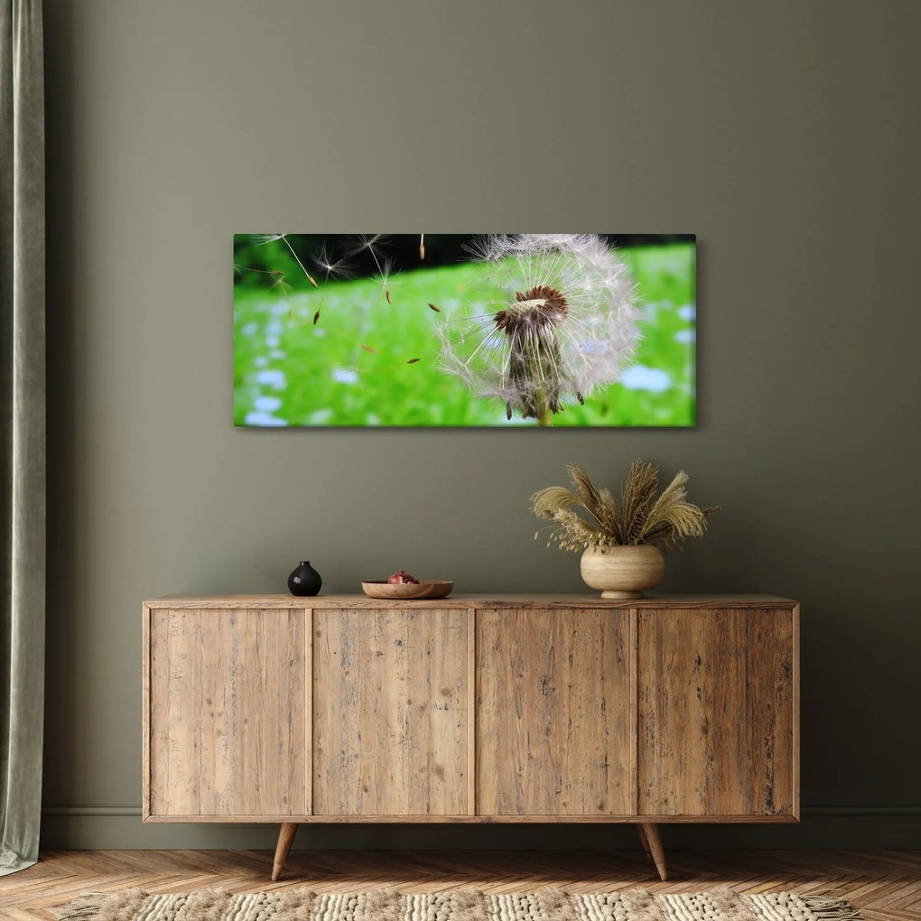 Tablou cu păpădie (120x50 cm)