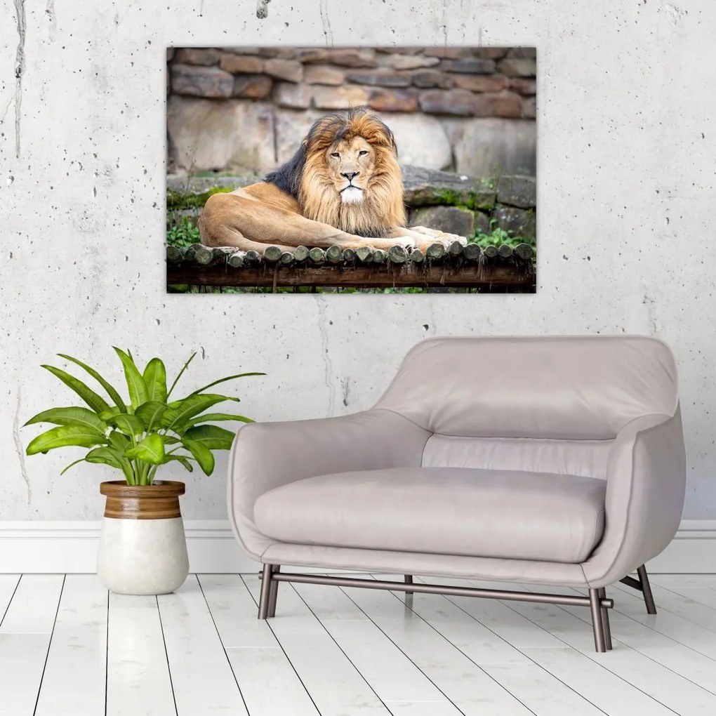 Tablou cu leu (90x60 cm)