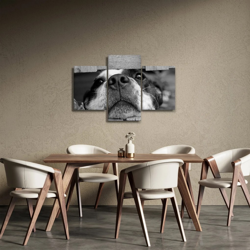 Tablou cu câine (90x60 cm)
