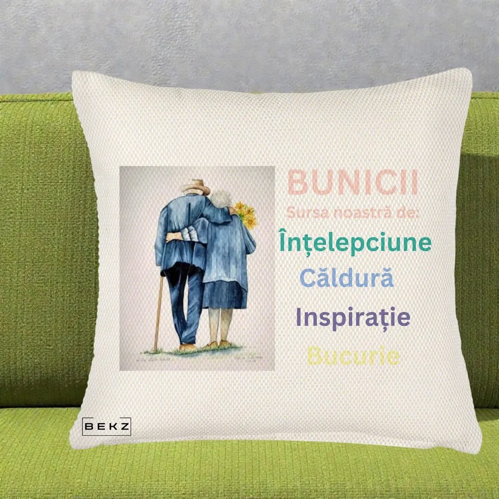 Cadou pentru Bunici - Perna Personalizata Bunicii Sursa Intelepciune Caldura Acuarela, 40x40 cm, Crem Reliefat, Husa Detasabila, Perna Inclusa, BEKZ®