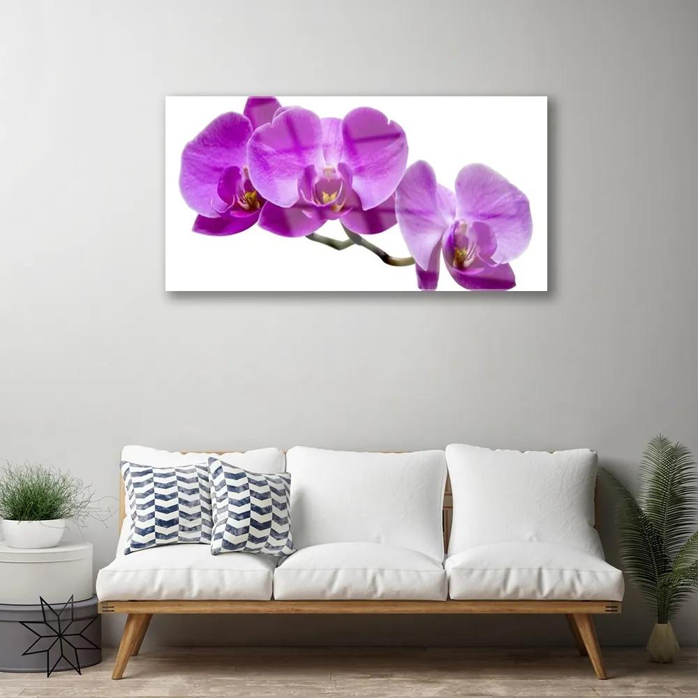 Tablouri acrilice Flori Floral Violet Maro