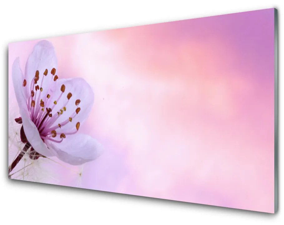 Tablou pe sticla acrilica Florale flori roz