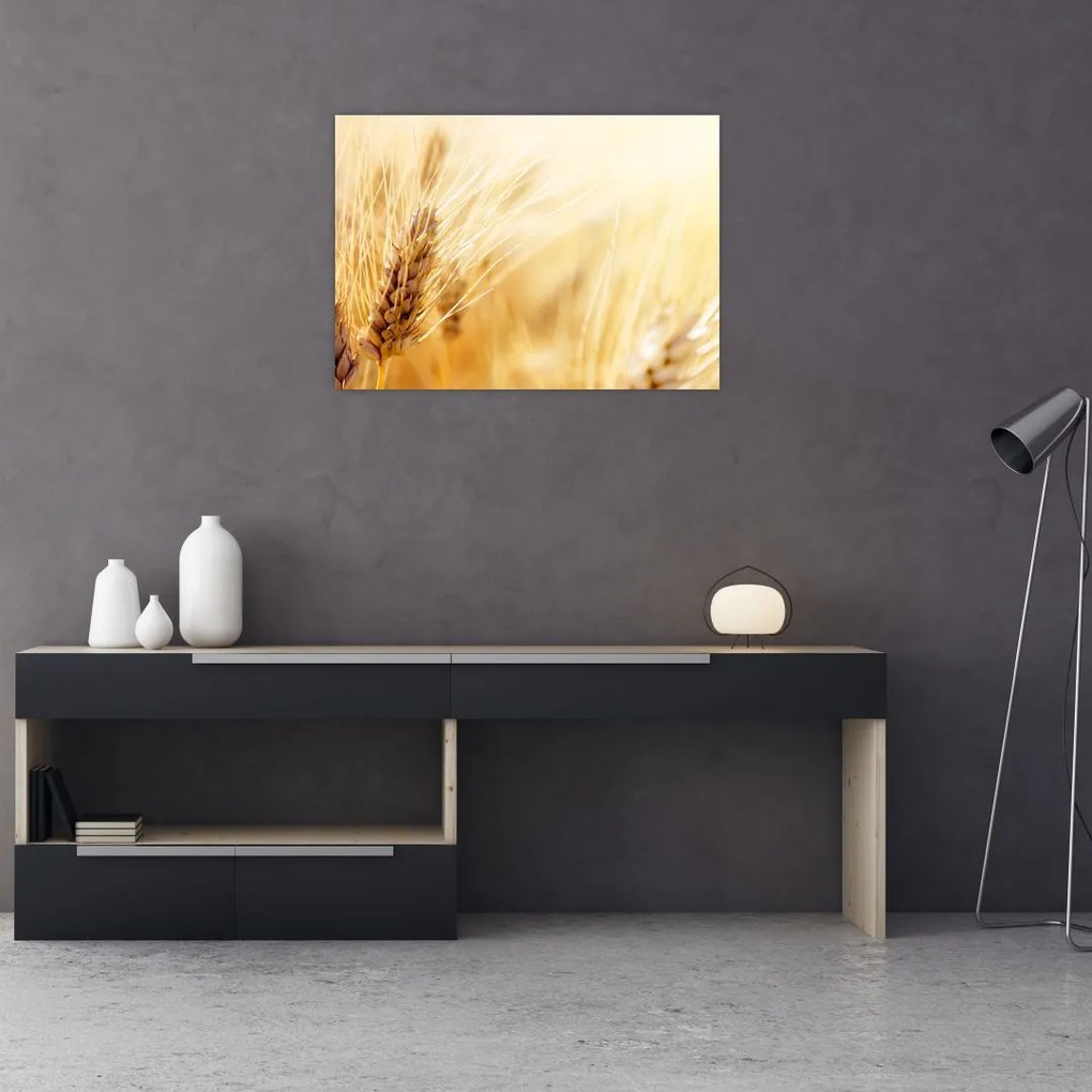 Tablou- detaliu cu (70x50 cm)