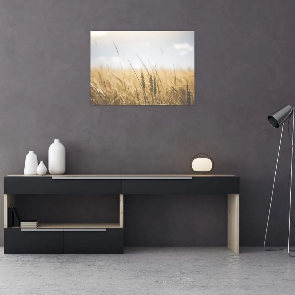 Tablou cu grâne (70x50 cm)