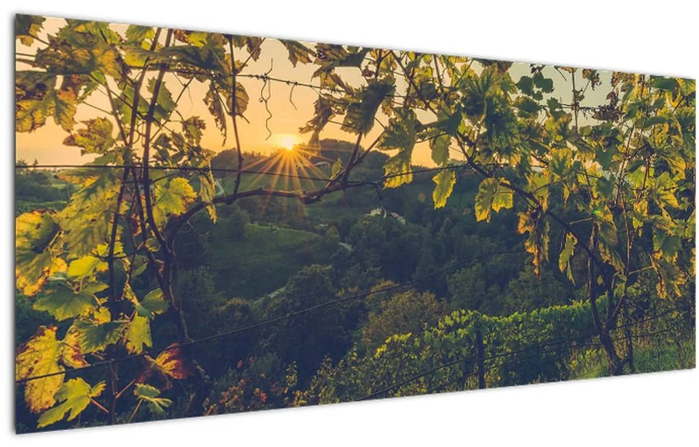 Tablou - Podgorii (120x50 cm)