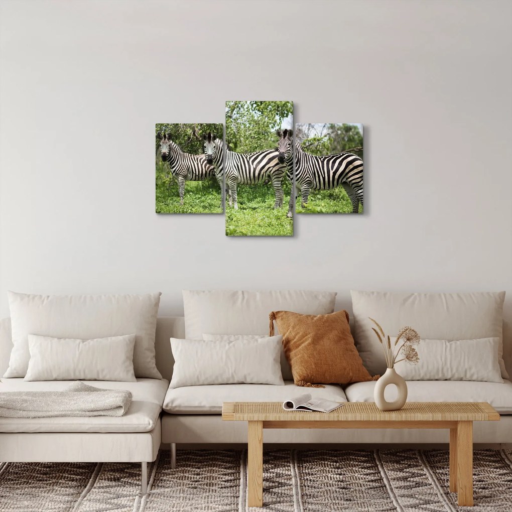 Tablou cu zebre (90x60 cm)