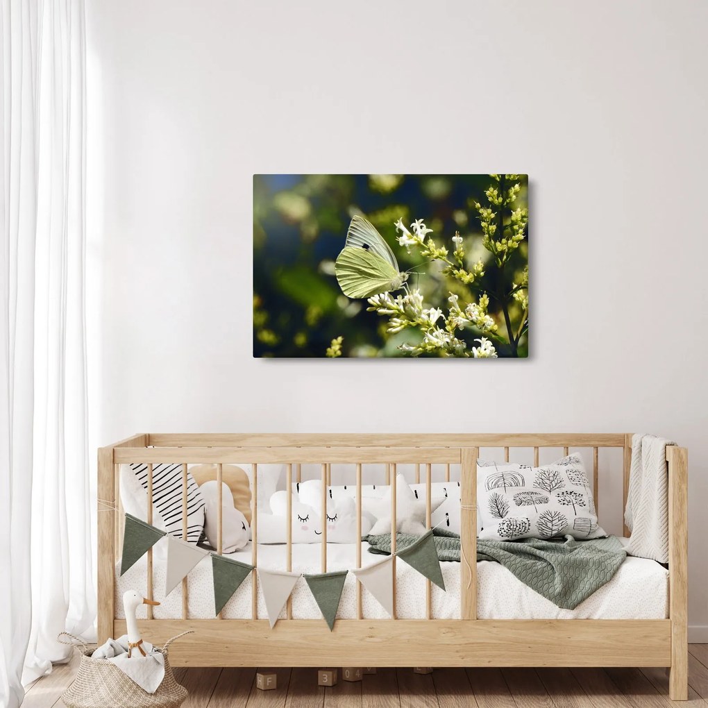 Tablou cu fluture (90x60 cm)