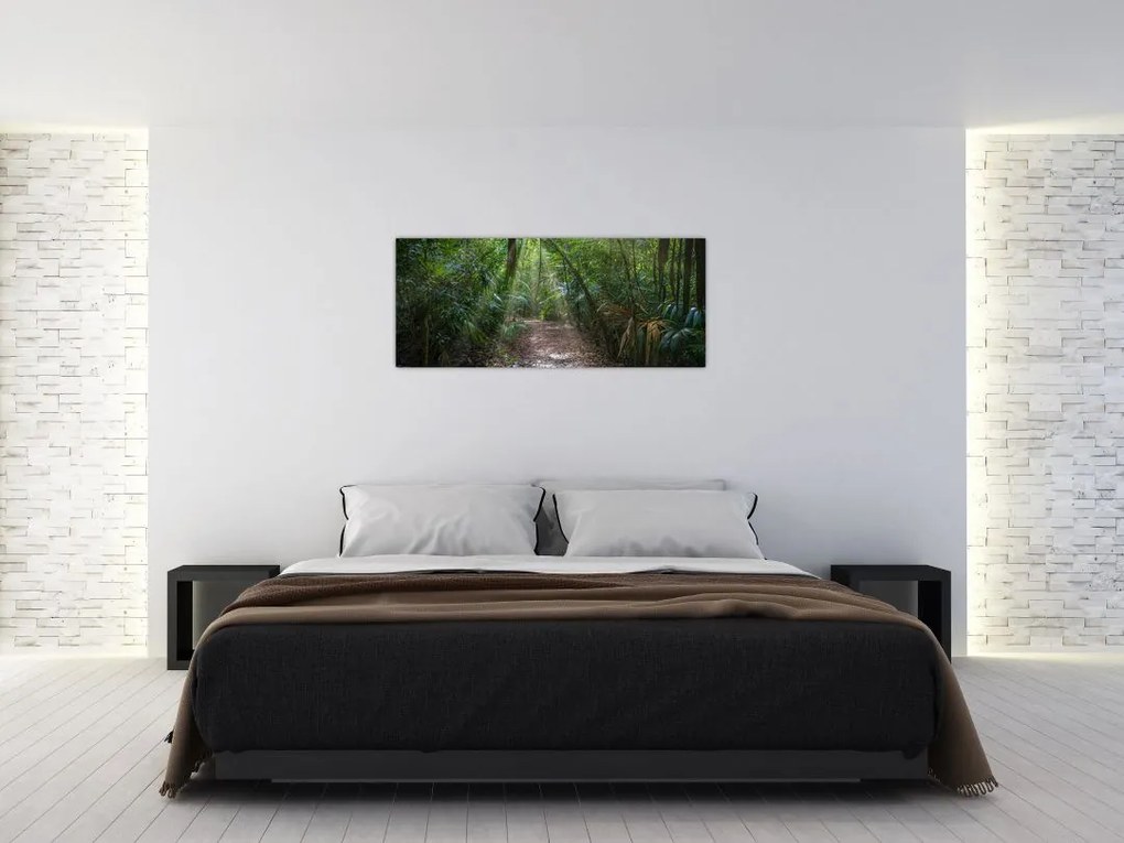 Tablou - Razele solare în junglă (120x50 cm)