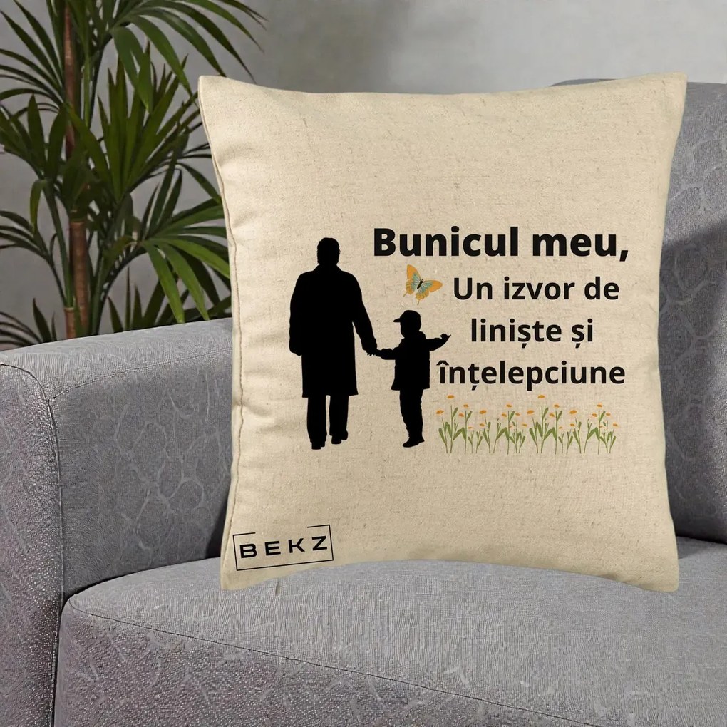 Cadou pentru Bunic - Perna Personalizata Bunicul Meu Izvor de Liniste cu Fluture si Baietel, 40x40 cm, Bej, Husa Detasabila, Perna Inclusa, BEKZ®