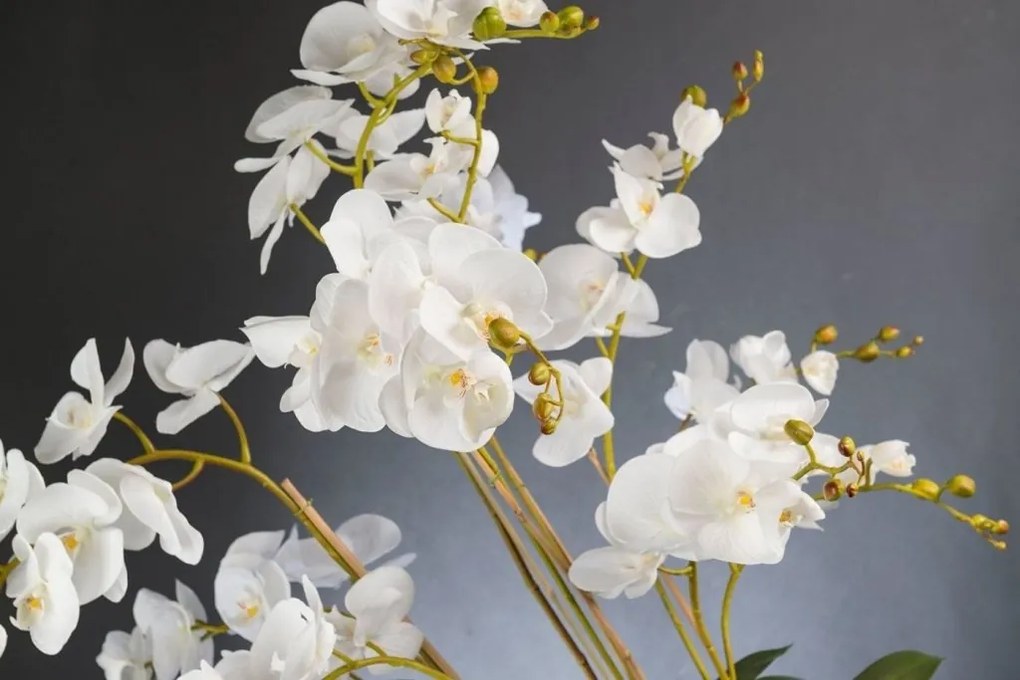 Aranjament floral de dimensiuni mari PHALENOPSIS MAXI 1142077.95