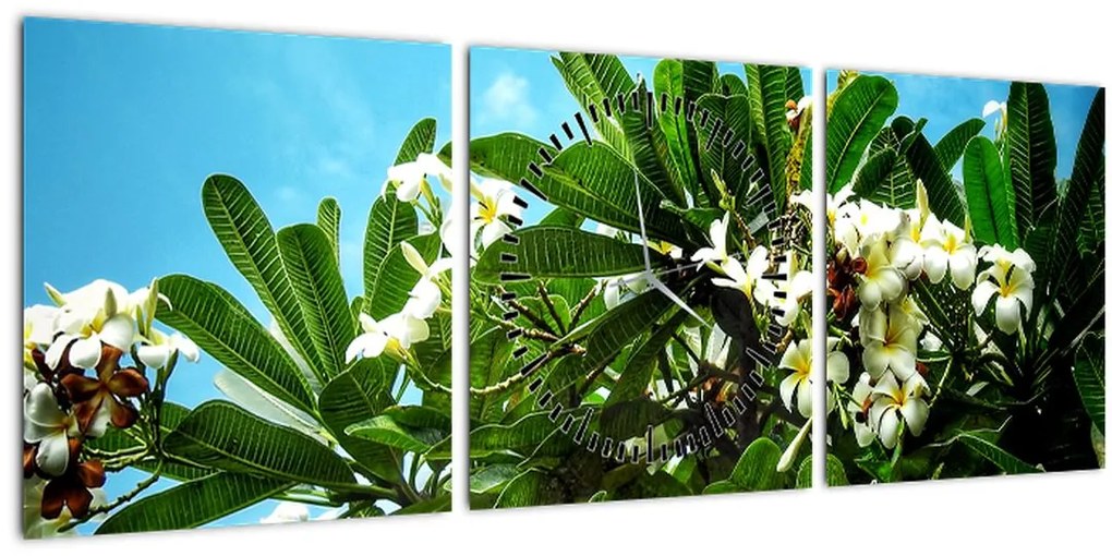 Tablou - Plumeria (cu ceas) (90x30 cm)