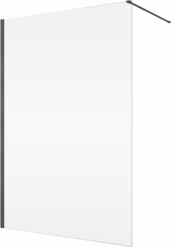 Paravan dus sticla walk-in 100x200 cm, gun metal periat, sticla 8 mm, Ronal Easy 1000x2000 mm, Gun metal periat