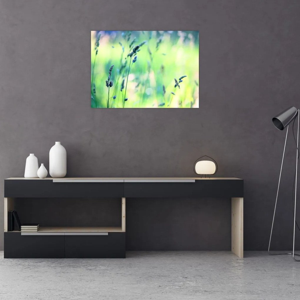 Tablou - Detaliu pajiște (70x50 cm)