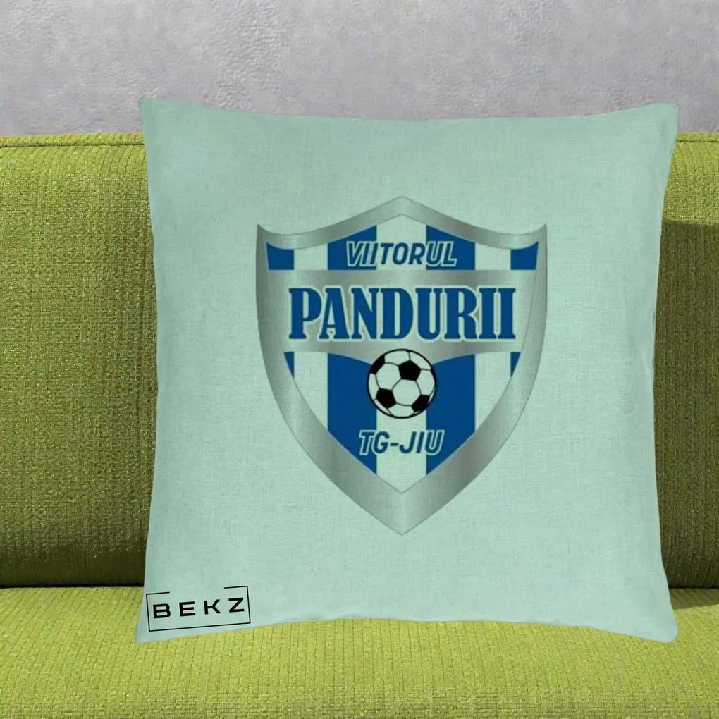 Perna Personalizata Pandurii Targu Jiu Fotbal, 40x40 cm, Verde Menta, Husa Detasabila, Perna Inclusa, BEKZ®