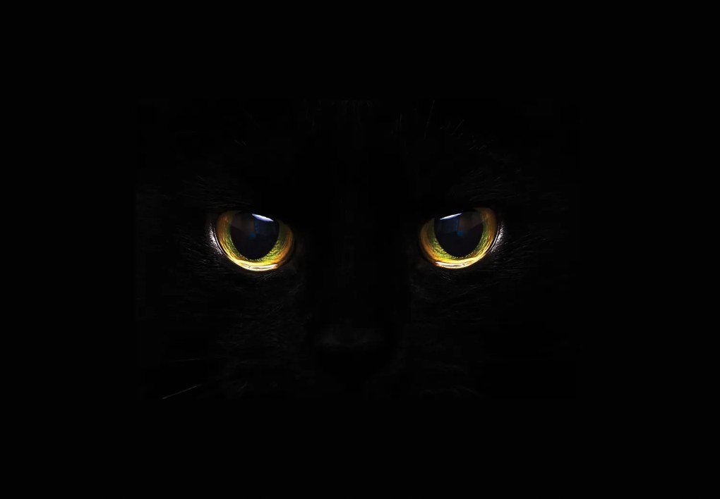 Fototapet - Ochi de pisică (147x102 cm)