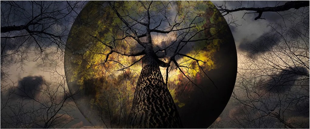 Tablou - Cerul enigmatic (120x50 cm)