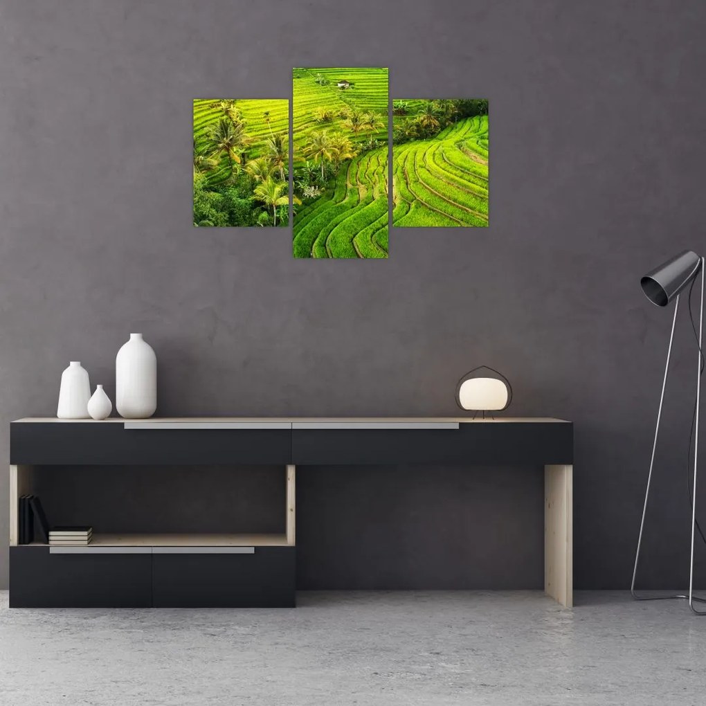 Tablou - Terase de orez (90x60 cm)