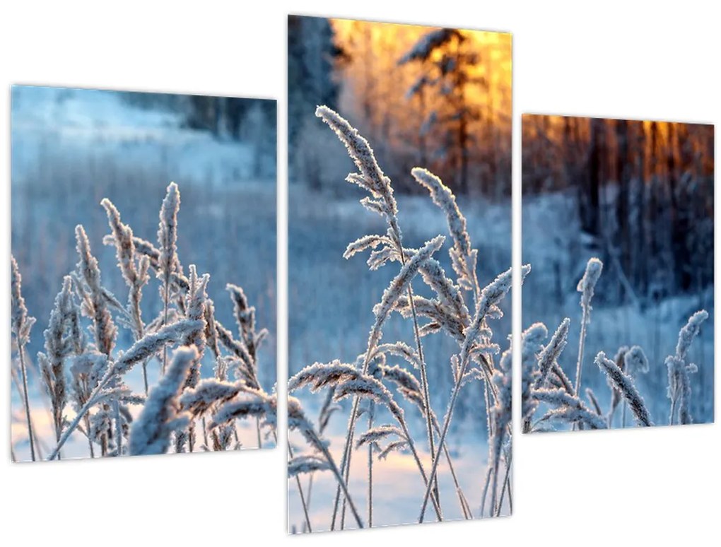Tablou - Pajiște de iarnă (90x60 cm)
