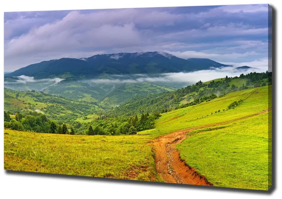 Print pe pânză Dealuri verzi