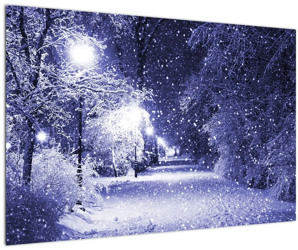 Tablou - Noaptea magică de iarnă (90x60 cm)