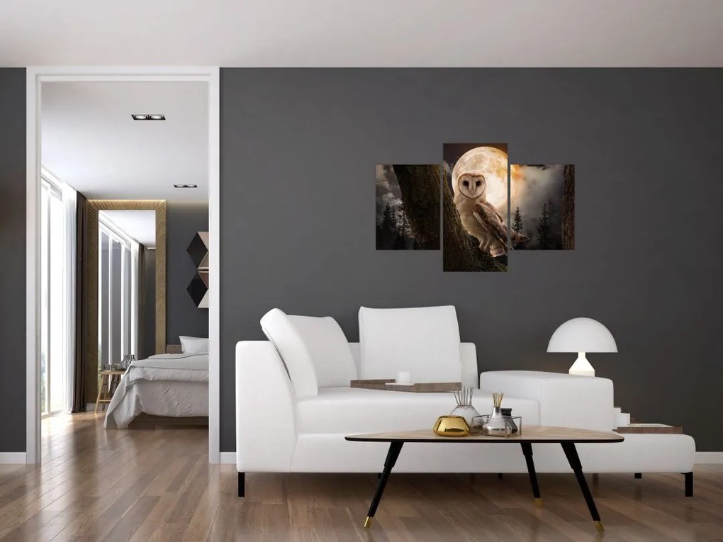 Tablou cu bufnița (90x60 cm)
