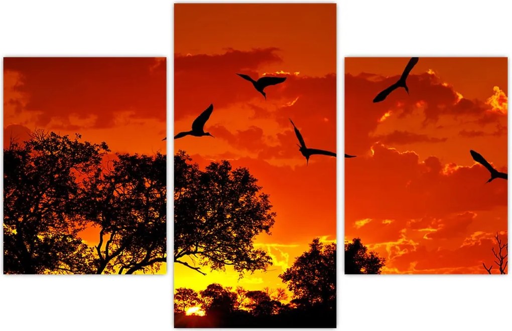 Tablou cu păsări în apus de soare (90x60 cm)