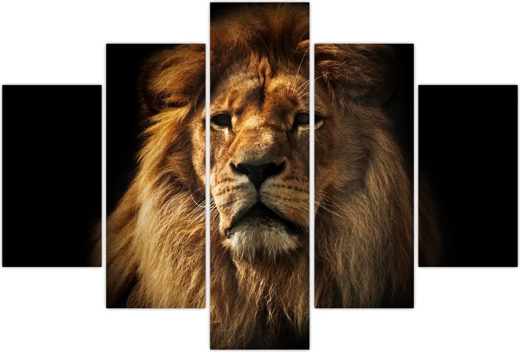 Tablou - Leu cu o coamă bogată (150x105 cm)