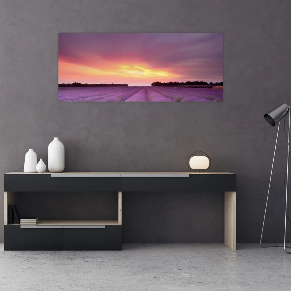 Tablou - Câmp de lavandă (120x50 cm)