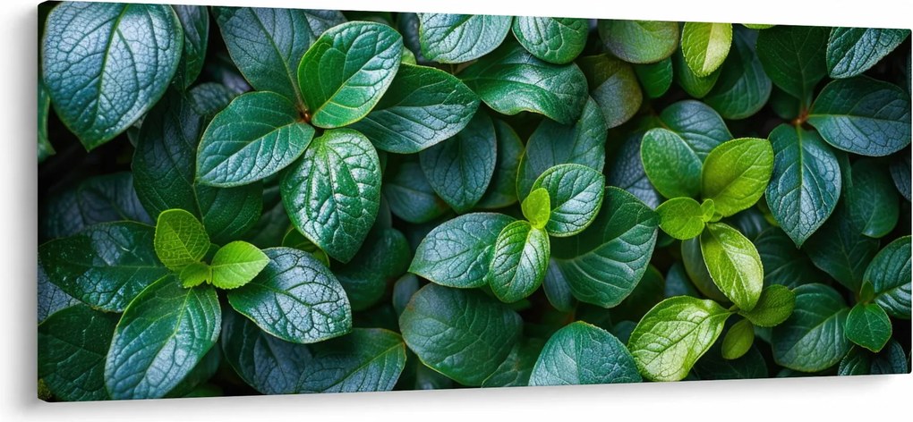 Tablou - Plante verzi (120x50 cm)