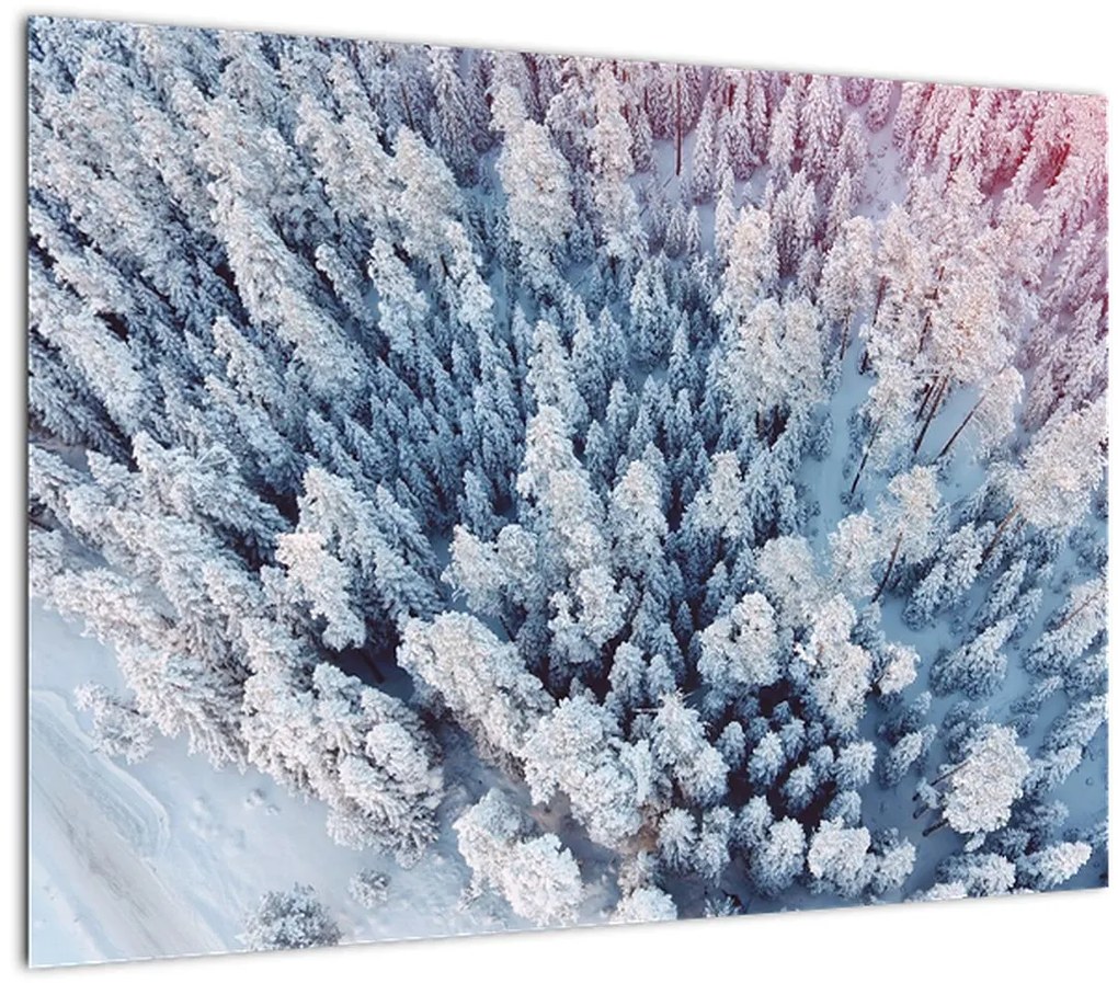 Tablou pe sticlă cu copaci înzăpeziți (70x50 cm)