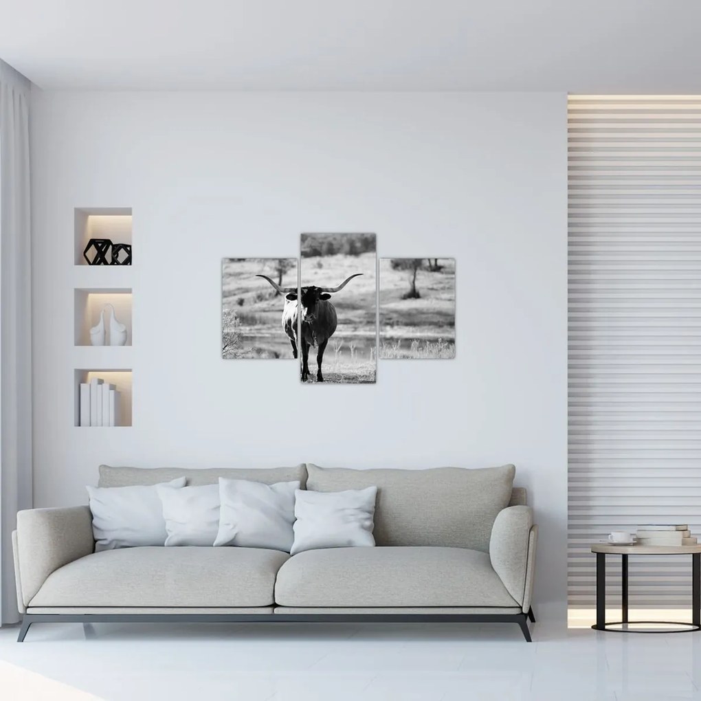 Tablou - Vacă,alb-negru (90x60 cm)