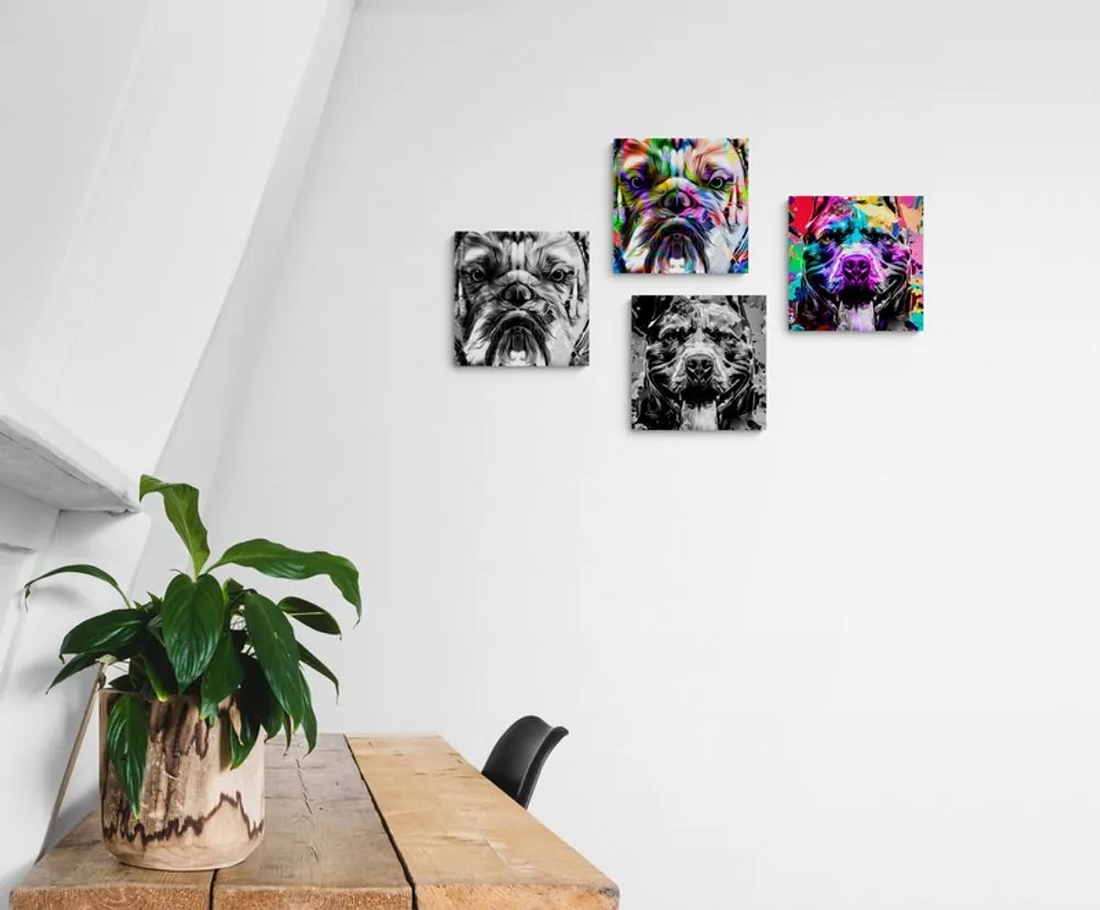 Set tablouri câini în stilul pop art