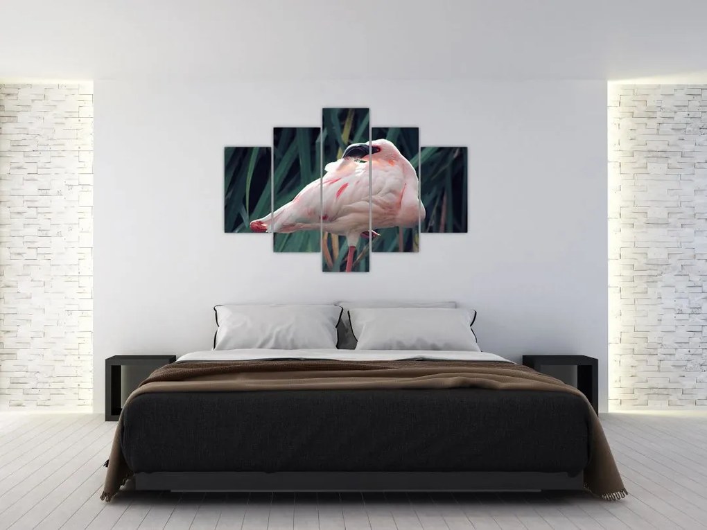 Tablou - Pasărea Flamengo (150x105 cm)