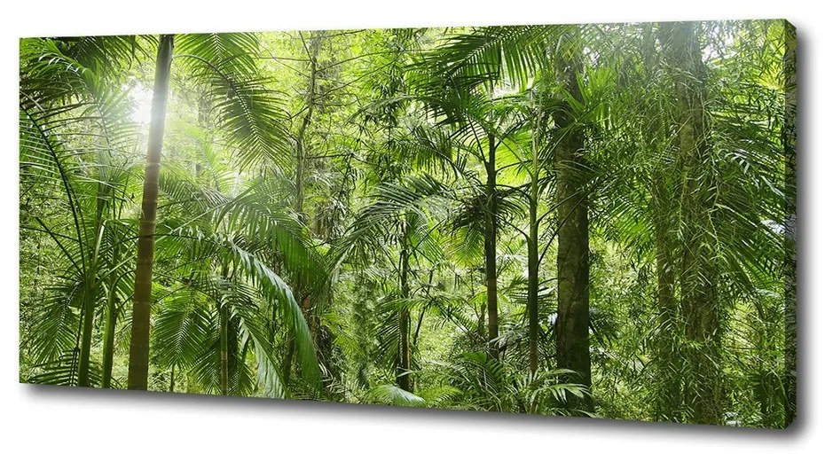Print pe canvas Padure tropicala
