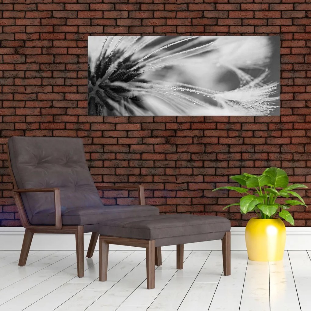 Tablou - Macro,alb-negru (120x50 cm)