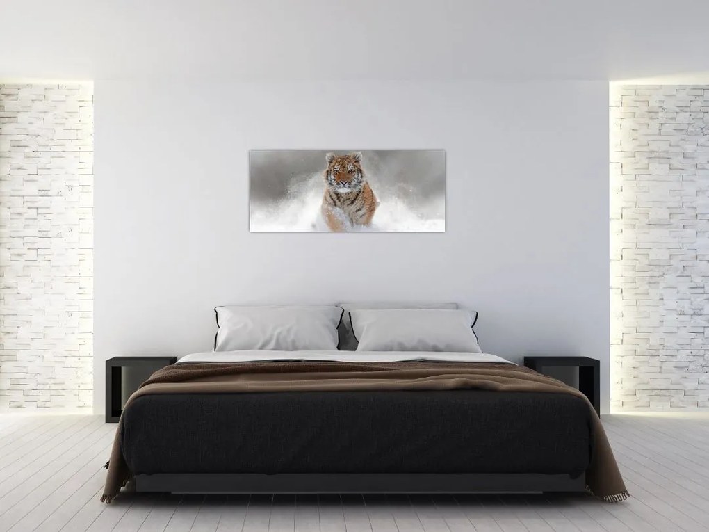 Tablou cutigru fugind prin zăpadă (120x50 cm)
