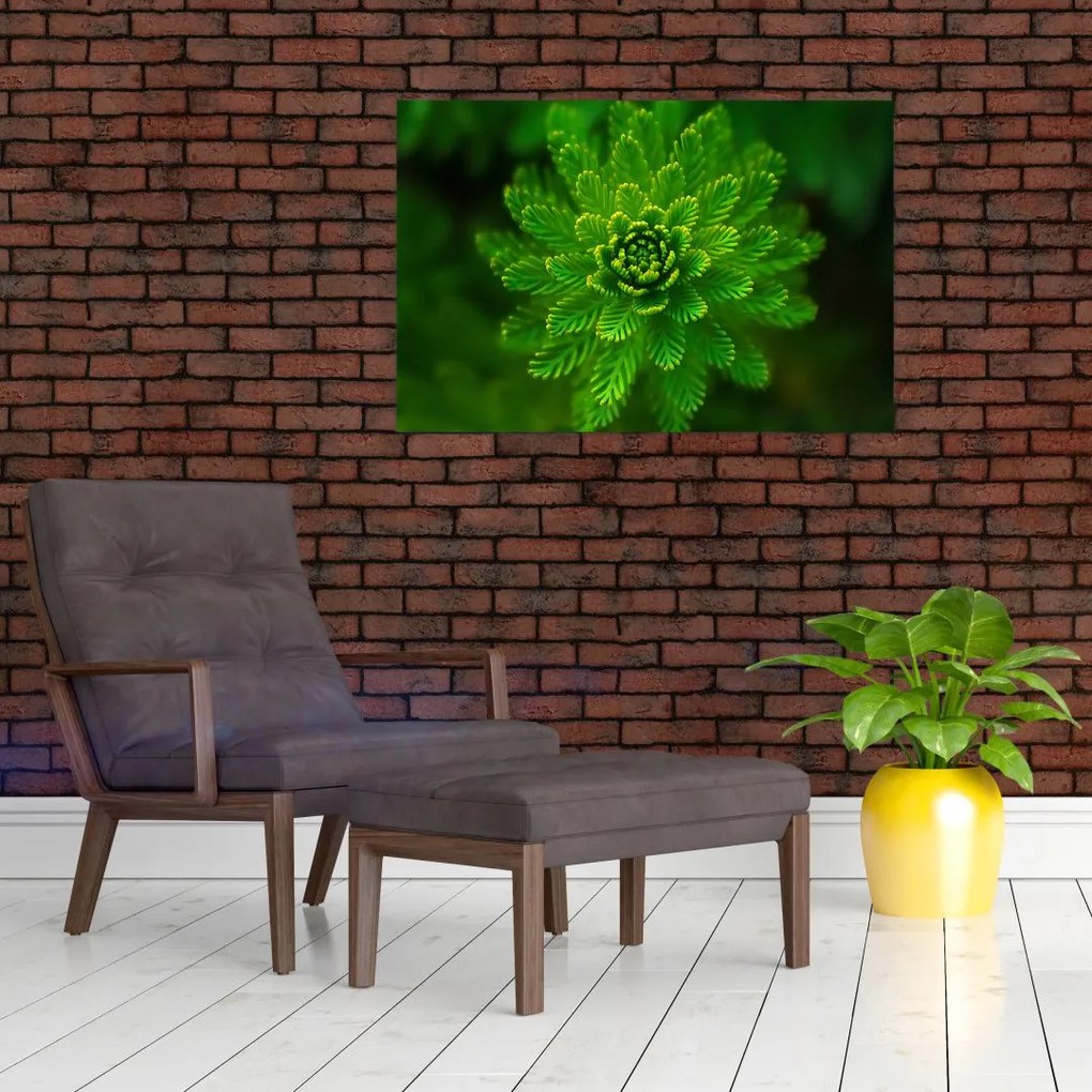 Tablou cu coniferi (90x60 cm)