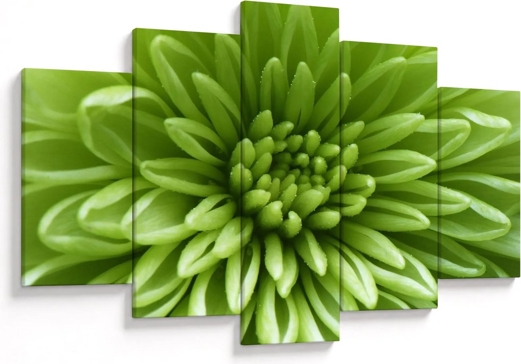 Tablou - Imagine macro a unei plante (150x105 cm)
