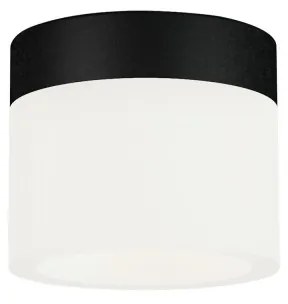 Mini Plafoniera LED pentru baie CONGO negru/alb