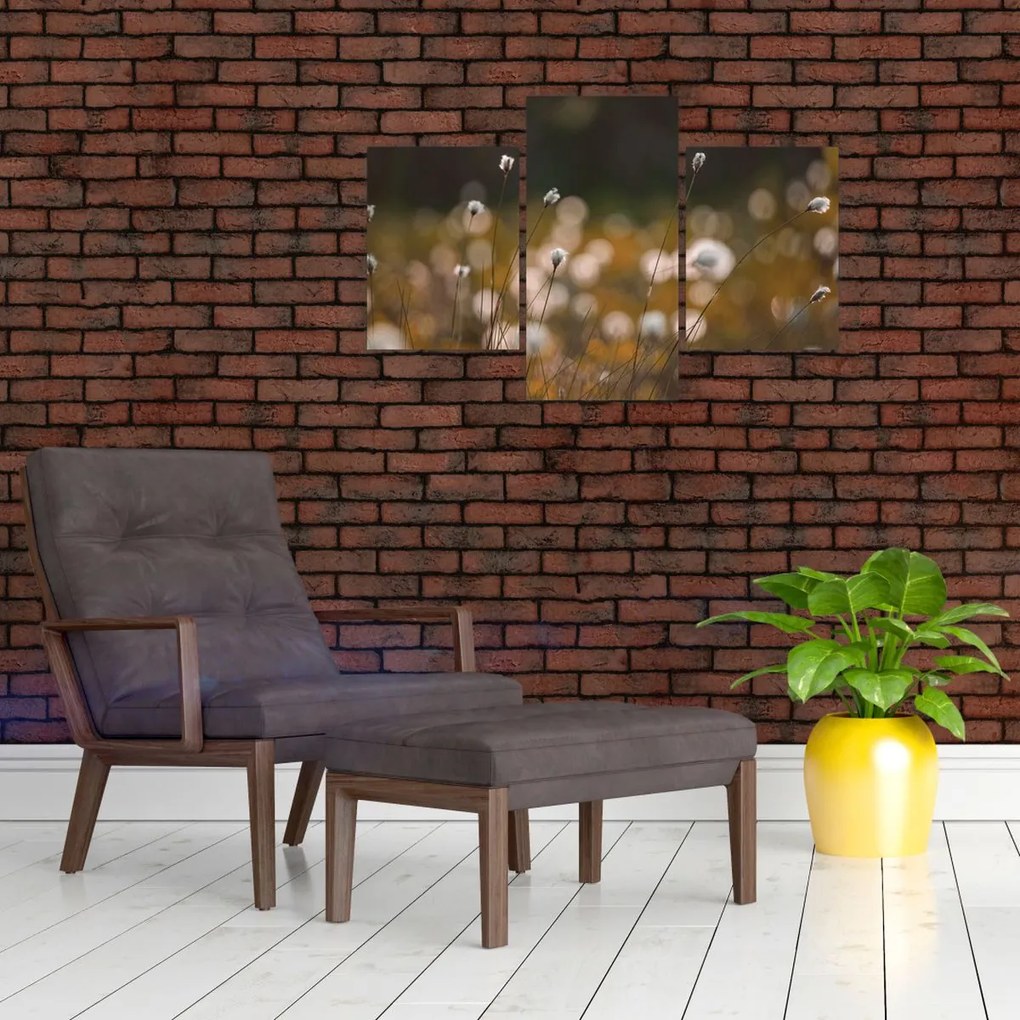 Tablou - Pajiște cu iarbă de cozonac N⁰2 (90x60 cm)